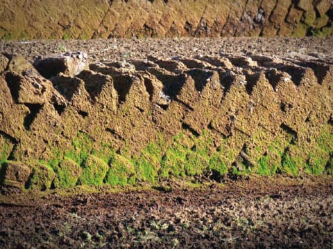 Stacked blocks of cut peat with moss growth dry outdoors, showing their layered texture.