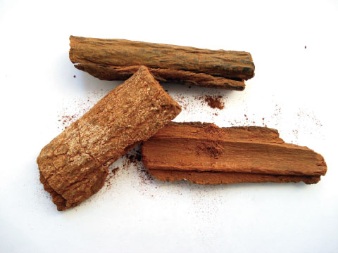 Pieces of dried cinchona bark with fine reddish-brown powder scattered on a white background.