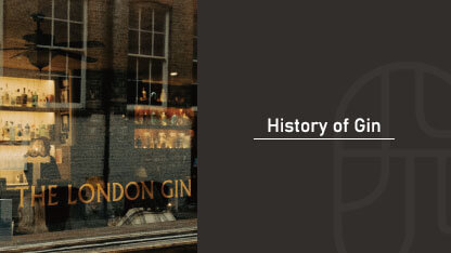 A gin shop storefront window in London with bottles displayed on shelves, "History of Gin" text overlay introducing the article