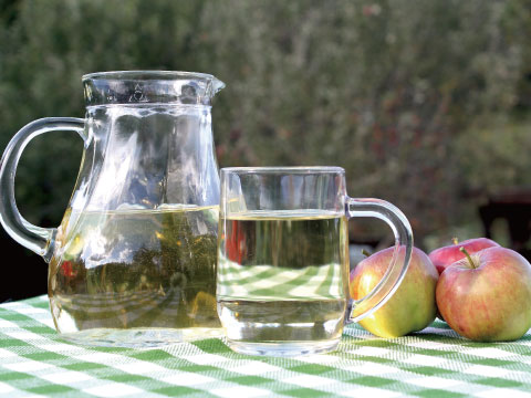A pitcher and glass of apple cider served outdoors alongside fresh apples on a checkered tablecloth