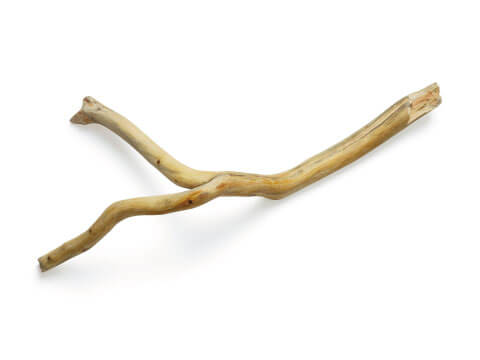 A forked wooden swizzle stick, traditionally used to rapidly stir Swizzle-style cocktails over crushed ice, shown on a white background