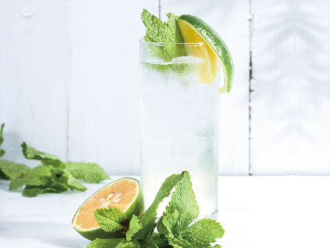 A clear Sling-style cocktail served in a tall glass with ice, garnished with mint, lemon, and lime, surrounded by fresh citrus and mint leaves