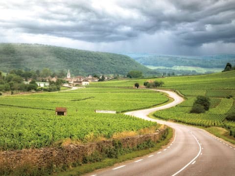 A winding road cuts through vineyards in Burgundy, France, with a small village and hills in the distance.