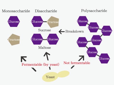 A diagram in Japanese illustrates monosaccharides, disaccharides, and polysaccharides, showing which sugar types yeast can and cannot ferment directly.