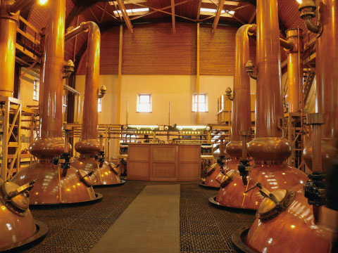 Tall copper pot stills inside Glenmorangie distillery in Scotland, used for single (pot still) distillation of whisky