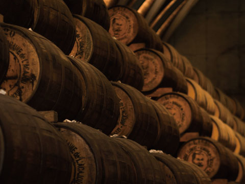 Rows of stacked wooden barrels with stenciled labels fill a dimly lit aging cellar.