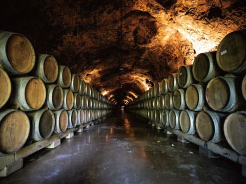 Rows of oak barrels line a dim, arched cellar where whisky ages over time.