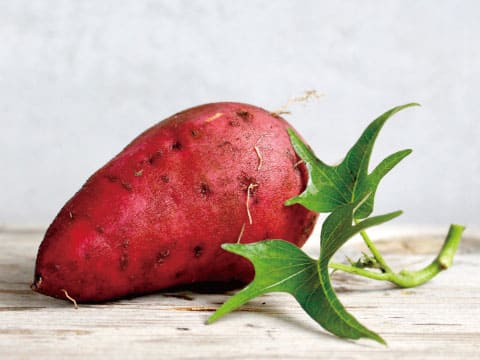 A single red-skinned sweet potato with a green vine and leaves attached sits on a wooden surface.