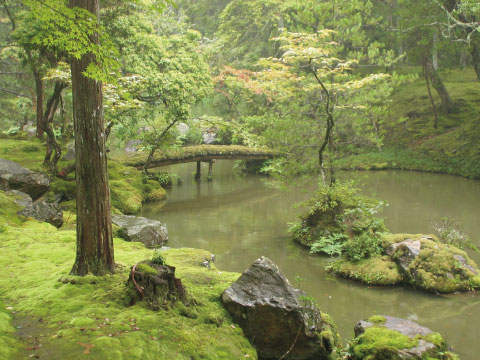 A moss-covered pond with a small wooden bridge at Saiho-ji Temple in Kyoto, surrounded by lush green trees and stone-lined banks