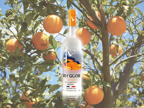 Grey Goose L'Orange flavored vodka bottle set against a backdrop of ripe oranges on the tree