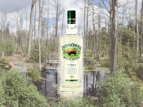 Żubrówka bison grass vodka bottle standing before a swampy woodland landscape