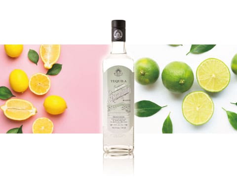 Bottle of Cascahuín Blanco tequila positioned between styled arrangements of fresh lemons and limes