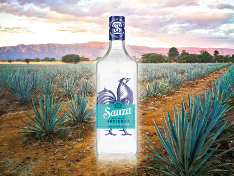 A bottle of Sauza Hacienda silver tequila standing in a blue agave field with mountains in the background