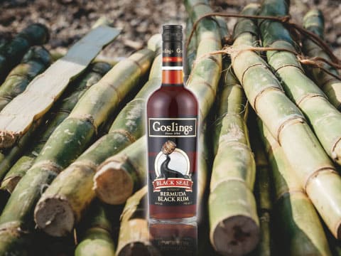 A bottle of Gosling's Black Seal Bermuda black rum standing on a bundle of freshly cut sugarcane stalks