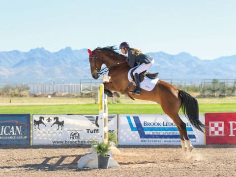 Equestrian rider in helmet and competition attire jumping a brown horse over a white rail obstacle at an outdoor show jumping event with mountains in the background