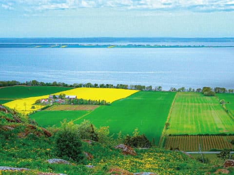 Aerial view of green and yellow farmland fields beside a lake in the Swedish countryside