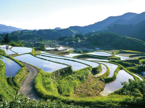 Water-filled rice terraces reflecting the sky in a mountain village in Japan