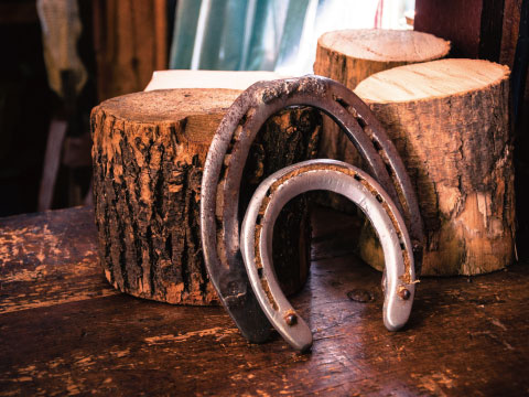 Two old horseshoes leaning against wooden stumps, referencing the origin story behind the Herradura tequila brand