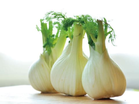 Three fresh fennel bulbs with feathery green fronds stand upright on a wooden table.