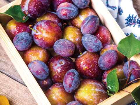 A wooden crate filled with fresh, dew-covered plums in shades of red and purple, with leaves scattered among them
