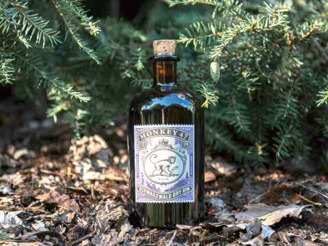 Bottle of Monkey 47 Schwarzwald Dry Gin with a cork stopper and purple label resting on the forest floor beneath fir branches
