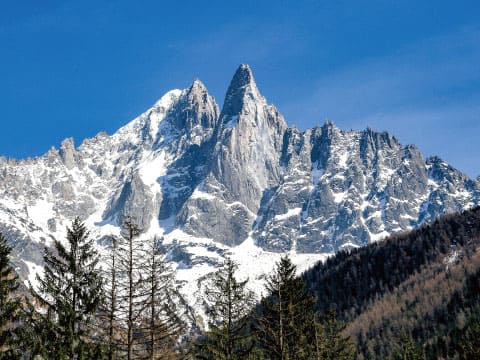 A jagged, snow-capped Alps mountain peak rising above a forested slope under a clear blue sky