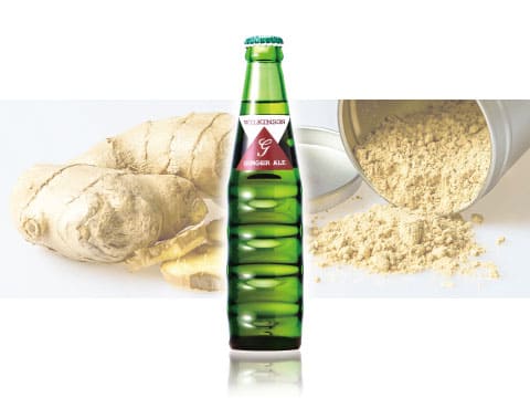 Green bottle of Wilkinson Ginger Ale, a spicy Japanese ginger ale, in front of fresh ginger root and ginger powder