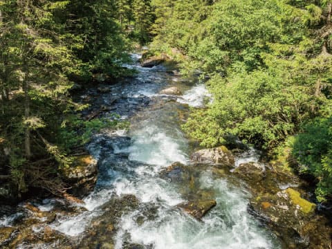 Clear mountain stream rushing over mossy rocks through a dense green forest, seen from above on a sunny day