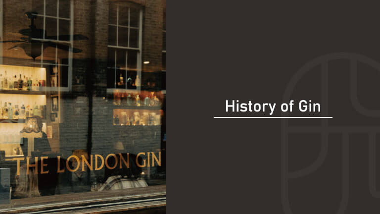 A gin shop storefront window in London with bottles displayed on shelves, "History of Gin" text overlay introducing the article