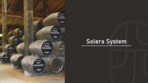 Rows of labeled sherry casks stacked in a traditional bodega cellar as part of the solera aging system