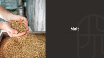 Hands pouring malted barley grains into a wooden fermentation tray